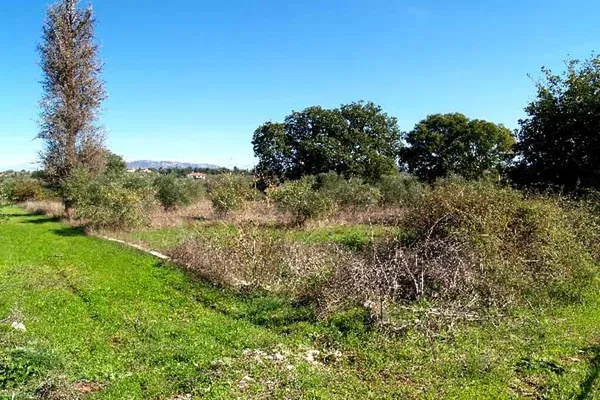 Seafront 2,045 m² Plot of Land for Sale in Vamos, Apokoronas — photo 3