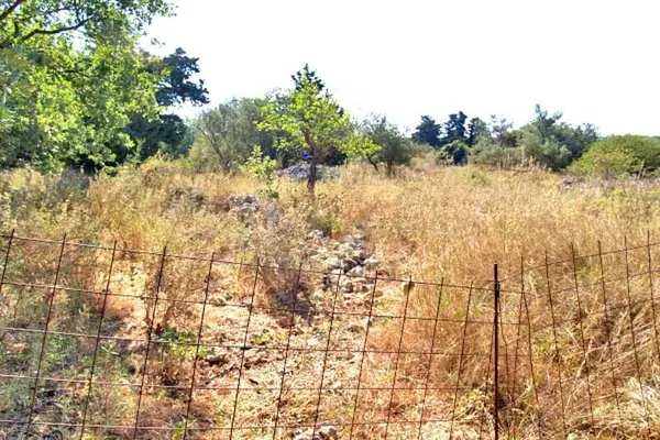 Seafront 4,518 m² Plot for Sale in Vamos, Apokoronas — photo 3