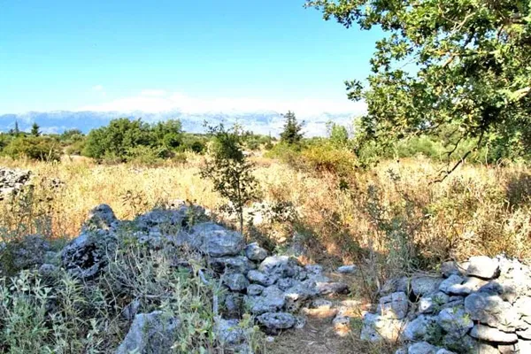 Seafront 4,518 m² Plot for Sale in Vamos, Apokoronas