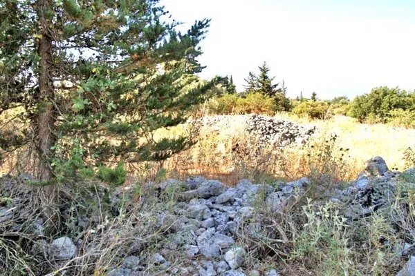 Seafront 4,518 m² Plot for Sale in Vamos, Apokoronas — photo 2