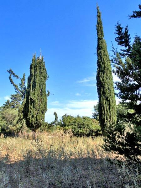 Seafront 4,518 m² Plot for Sale in Vamos, Apokoronas — photo 4
