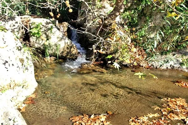 Seafront 234,234 m² Plot of Land for Sale in Paleochora, Kandanos-Selino — photo 2
