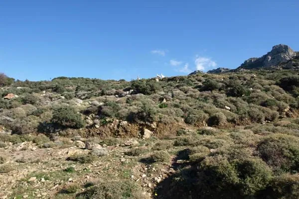 Seafront 234,234 m² Plot of Land for Sale in Paleochora, Kandanos-Selino — photo 4
