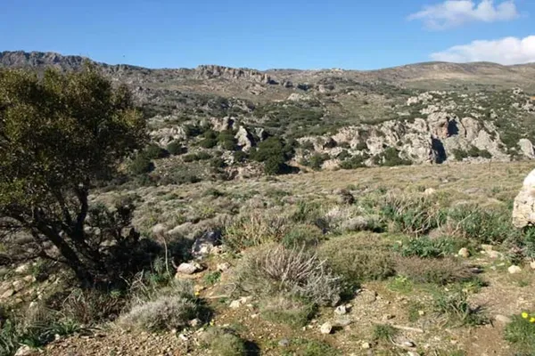 Seafront 234,234 m² Plot of Land for Sale in Paleochora, Kandanos-Selino — photo 5