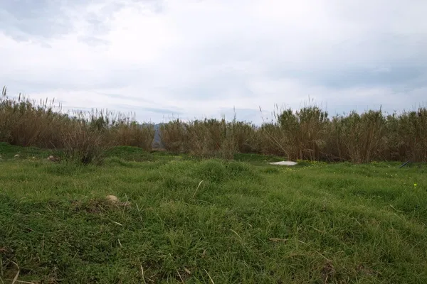 5,000 m² Plot for Sale in Rapaniana, Platanias — photo 3