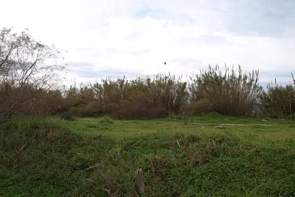 5,000 m² Plot for Sale in Rapaniana, Platanias — photo 5