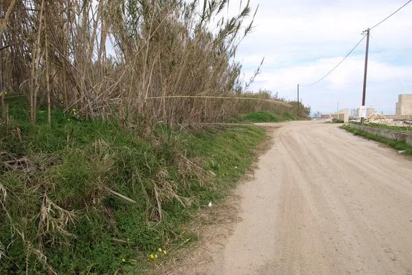 5,000 m² Plot for Sale in Rapaniana, Platanias — photo 4