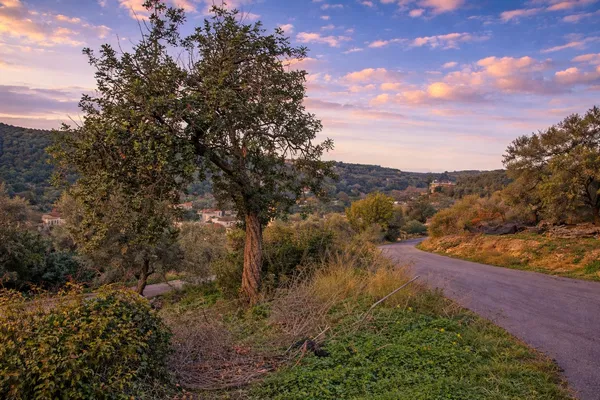 Seafront 739 m² Plot for Sale in Vrisses Kydonias, Platanias — photo 4