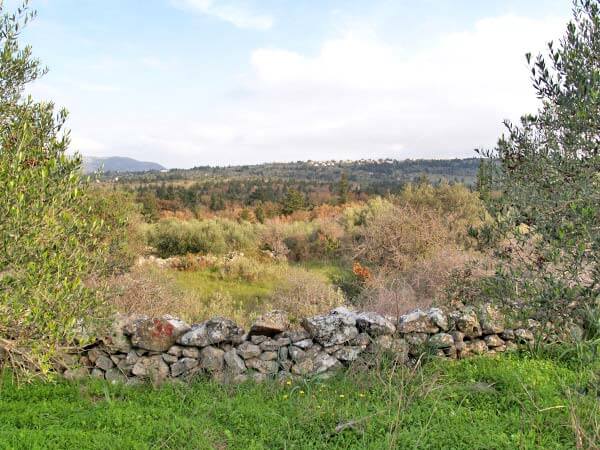 Seafront 3,822 m² Plot for Sale in Souri, Apokoronas — photo 5