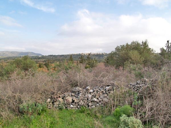Seafront 3,822 m² Plot for Sale in Souri, Apokoronas — photo 4