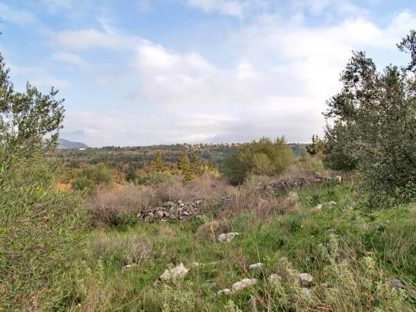 Seafront 3,822 m² Plot for Sale in Souri, Apokoronas — photo 2