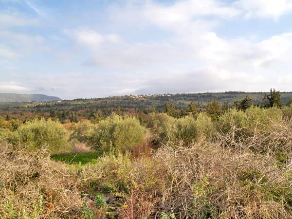 Seafront 3,822 m² Plot for Sale in Souri, Apokoronas
