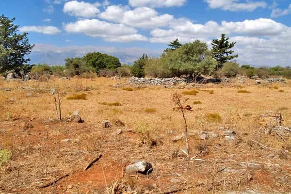 Seafront 6,512 m² Plot of Land for Sale in Vamos, Apokoronas — photo 5