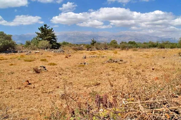 Seafront 6,512 m² Plot of Land for Sale in Vamos, Apokoronas