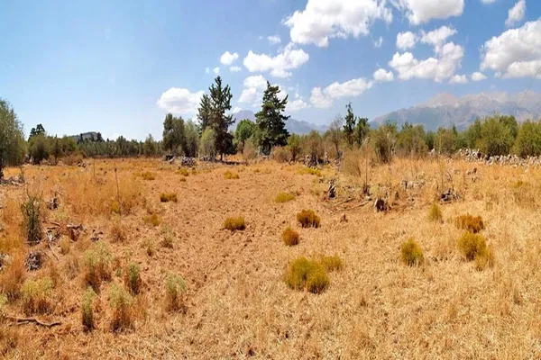 Seafront 6,512 m² Plot of Land for Sale in Vamos, Apokoronas — photo 3