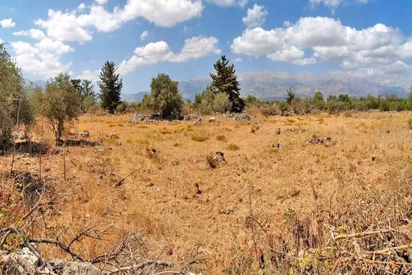 Seafront 6,512 m² Plot of Land for Sale in Vamos, Apokoronas — photo 4