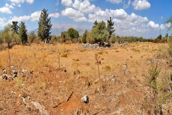 Seafront 6,512 m² Plot of Land for Sale in Vamos, Apokoronas — photo 2