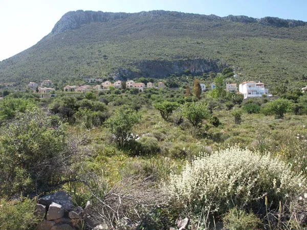 Seafront 10,319 m² Plot for Sale in Kokkino Chorio, Apokoronas — photo 3