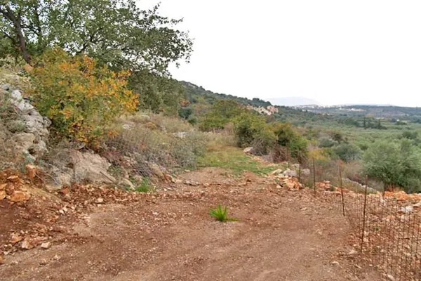 Seafront 4,150 m² Plot of Land for Sale in Gavalochori, Apokoronas — photo 5