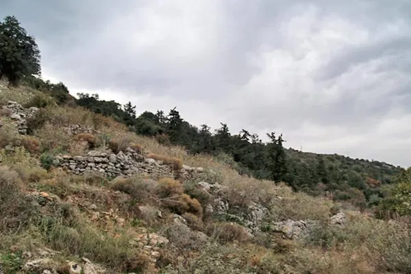 Seafront 4,150 m² Plot of Land for Sale in Gavalochori, Apokoronas