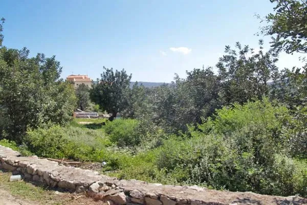 Seafront 7,700 m² Land for Sale in Douliana, Apokoronas
