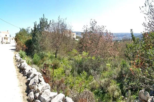 Seafront 7,700 m² Land for Sale in Douliana, Apokoronas — photo 2