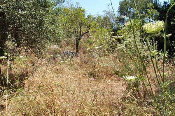 Seafront 2,030 m² Plot for Sale in Kefalas, Apokoronas — photo 2
