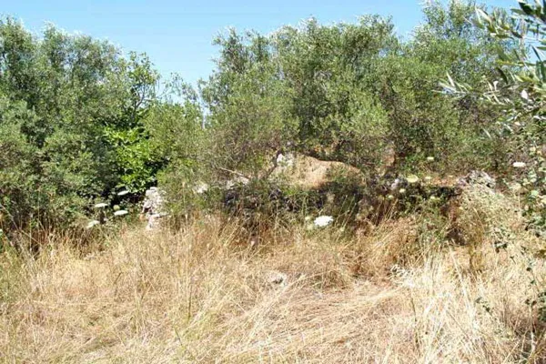 Seafront 2,030 m² Plot for Sale in Kefalas, Apokoronas — photo 3