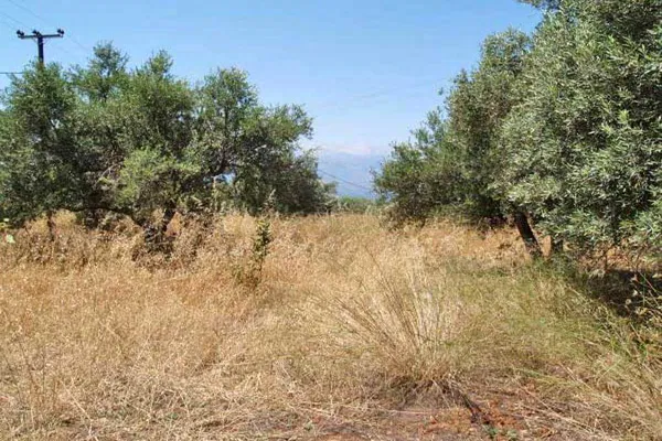 Seafront 2,030 m² Plot for Sale in Kefalas, Apokoronas
