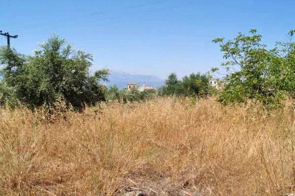Seafront 2,030 m² Plot for Sale in Kefalas, Apokoronas — photo 5