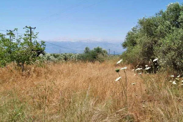 Seafront 2,030 m² Plot for Sale in Kefalas, Apokoronas — photo 4
