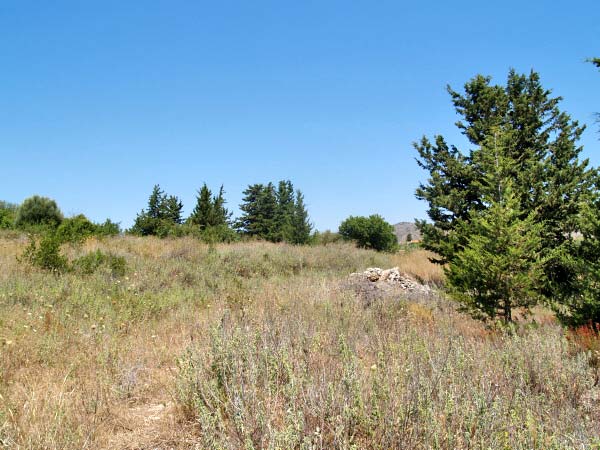 Seafront 10,053 m² Land for Sale in Kalamitsi Amigdali, Apokoronas — photo 5