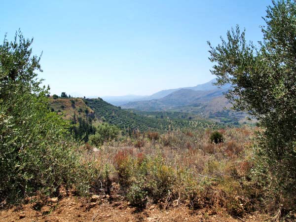 Seafront 10,053 m² Land for Sale in Kalamitsi Amigdali, Apokoronas