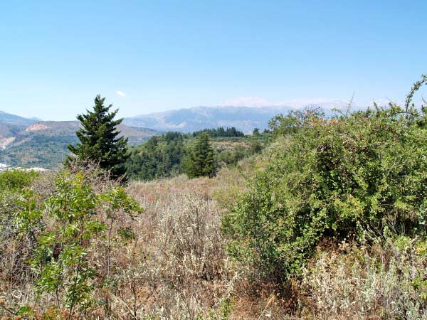 Seafront 10,053 m² Land for Sale in Kalamitsi Amigdali, Apokoronas — photo 2