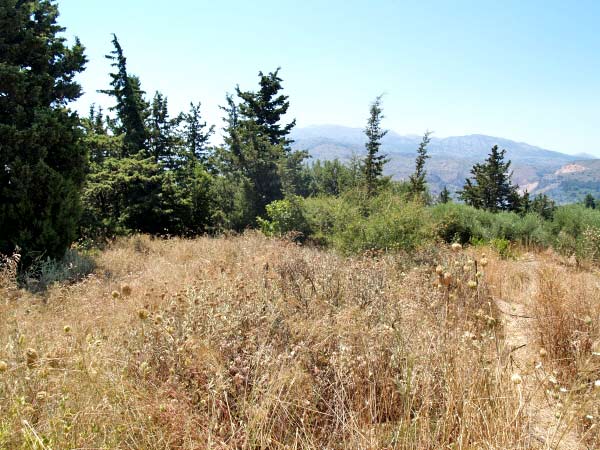 Seafront 10,053 m² Land for Sale in Kalamitsi Amigdali, Apokoronas — photo 3
