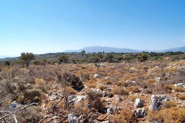 Seafront 19,169 m² Land for Sale in Kefalas, Apokoronas — photo 3