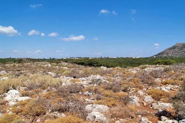 Seafront 19,169 m² Land for Sale in Kefalas, Apokoronas — photo 2