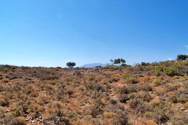 Seafront 19,169 m² Land for Sale in Kefalas, Apokoronas — photo 4