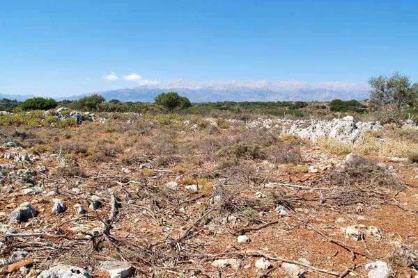 19,169 m² Land for Sale in Kefalas, Apokoronas