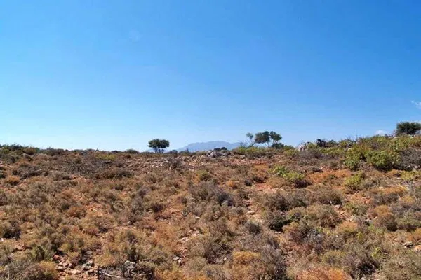 19,169 m² Land for Sale in Kefalas, Apokoronas — photo 4