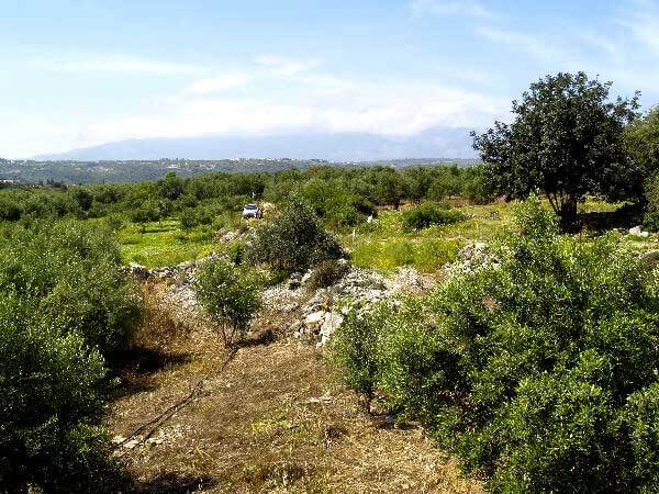 Seafront 4,058 m² Plot of Land for Sale in Gavalochori, Apokoronas — photo 3