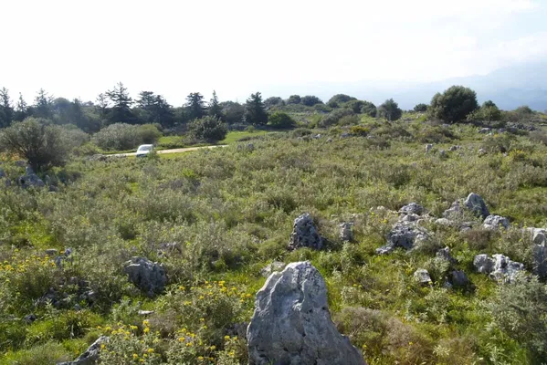 Seafront 15,594 m² Land for Sale in Kaina, Apokoronas — photo 4