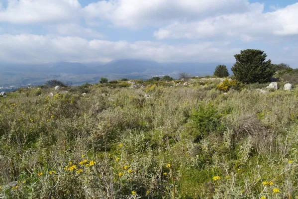 Seafront 15,594 m² Land for Sale in Kaina, Apokoronas
