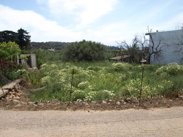 Seafront 318 m² Land for Sale in Afrata, Kissamos — photo 3