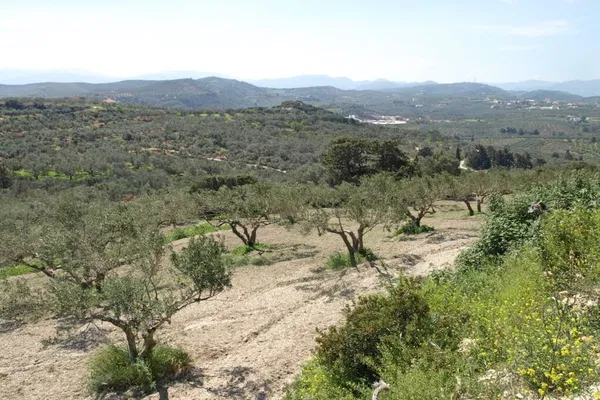 Seafront 12,000 m² Plot of Land for Sale in Koumouli, Platanias — photo 4