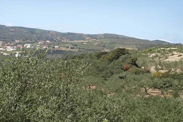 Seafront 12,000 m² Plot of Land for Sale in Koumouli, Platanias