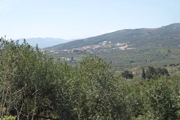 Seafront 12,000 m² Plot of Land for Sale in Koumouli, Platanias — photo 2