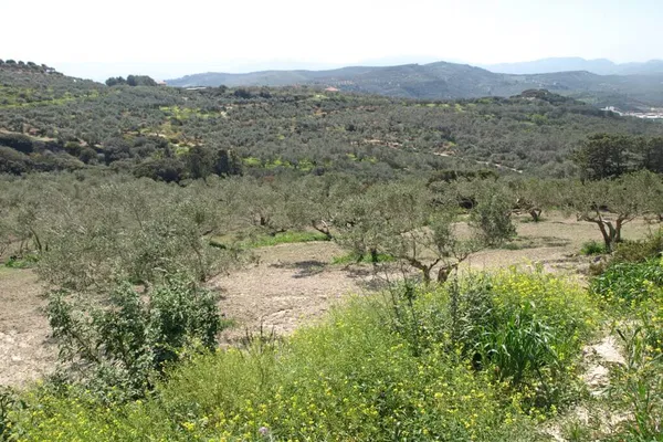 Seafront 12,000 m² Plot of Land for Sale in Koumouli, Platanias — photo 3