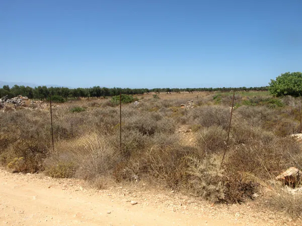 Seafront 4,000 m² Plot of Land for Sale in Stavros, Akrotiri — photo 3