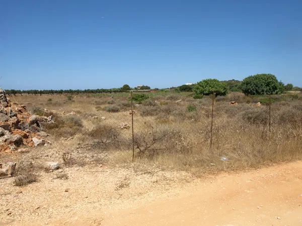Seafront 4,000 m² Plot of Land for Sale in Stavros, Akrotiri — photo 2